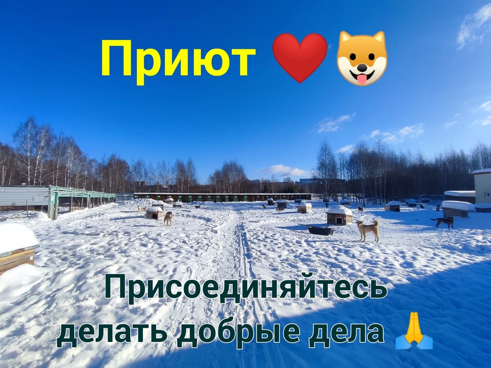 Bw8tTJ_GdYFOl87YxRHbpSfsSSnfvmaEA4R3CGn6