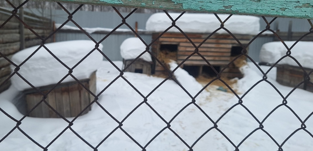 XY3vcew9bElwqFdVxKV0YuHpqMAx7s6wWeNAoIyT