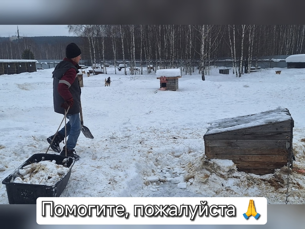 FlpeJhH1IMhKTQ9z3eholbRTFT5AEW7BTvXpBs3d