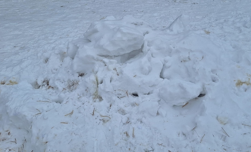 RmyzM2sHb5FL_uw_itnnvAaZb6Nw5j5LQDUALVtG