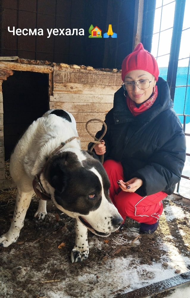 01juwmHUVq-yins1z45XFwJ5-phMNBu9KftIGWW5