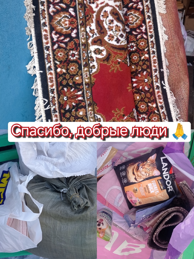 5GP_MB5mGN8vCbp646SYEMxJDtk-DDB8mjcy4N3a