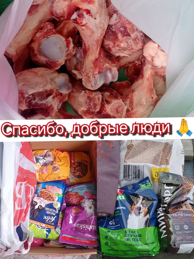 f6WG1BBCf2wmuawEZ_Xan13PVg4Te-jP6kTaihty