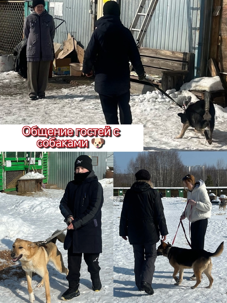 pwxdlNbTi9HWAxA2zgsav2OchLhIHMg2daD2rDzU