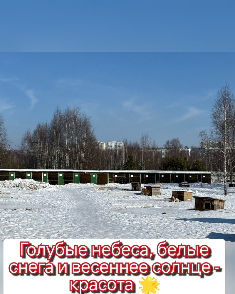 zrV_tD2_dBdAgC__tSEsvTNIL_Qbj8VuV0VNy3kD