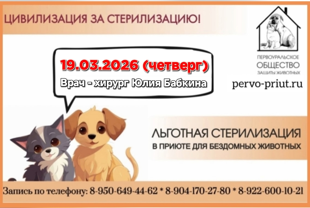 _l6RbVYPBKv6E6vSrPH3T1-_xdUU2cdjD8fw9x9S