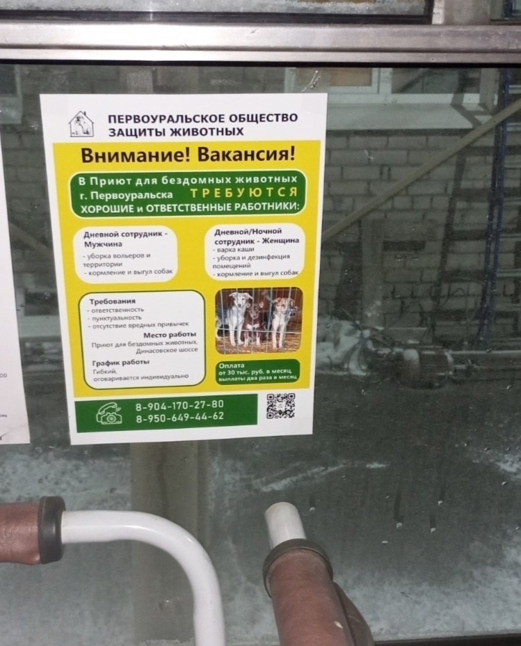 jPOI5h0poalbK4AtglSVR7f40NG1ss0m1PgdZaOQ