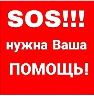 zYiGZ52N6aLCI7BQMBAs8y2FJFp91IOk4MBGrg7o