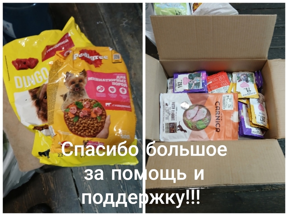 D_ZsaOqGF-shEZxZoZWWUaqUl3beJvg-KNXKMvlM