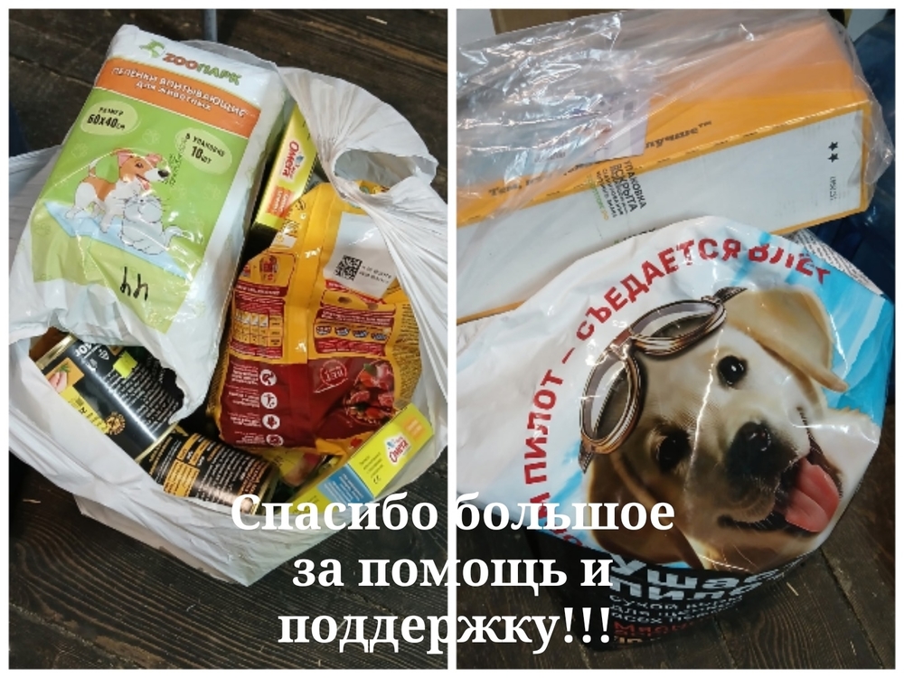 MCtqcNGujH4mG5SMwv5nkKLeucWwwiO2D-KJmx-n