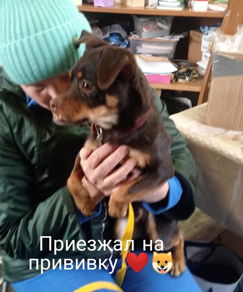 NODe-81UwTCGRHK-tY4VhM-ggS7RHxqnbFA2TZMa