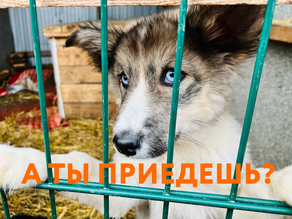 5vmWnuslEOfzqgoir3tmh3ZO0kKuxWa_NpaU1B5n