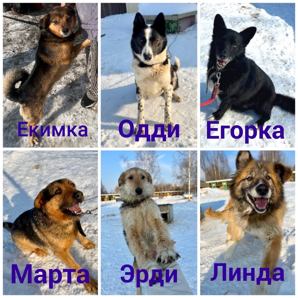 AKeVK4GJBqZtatTL0BuIPDzOgJEYl6DkRAnUx4uR