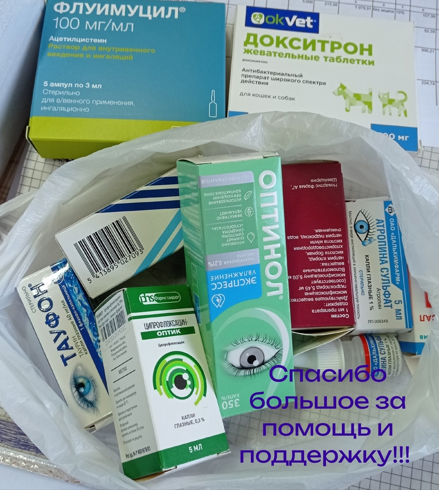 Sbo9LUUr_jwvyTG8oGNvPQzZEja6nhcBCxw7CRnX