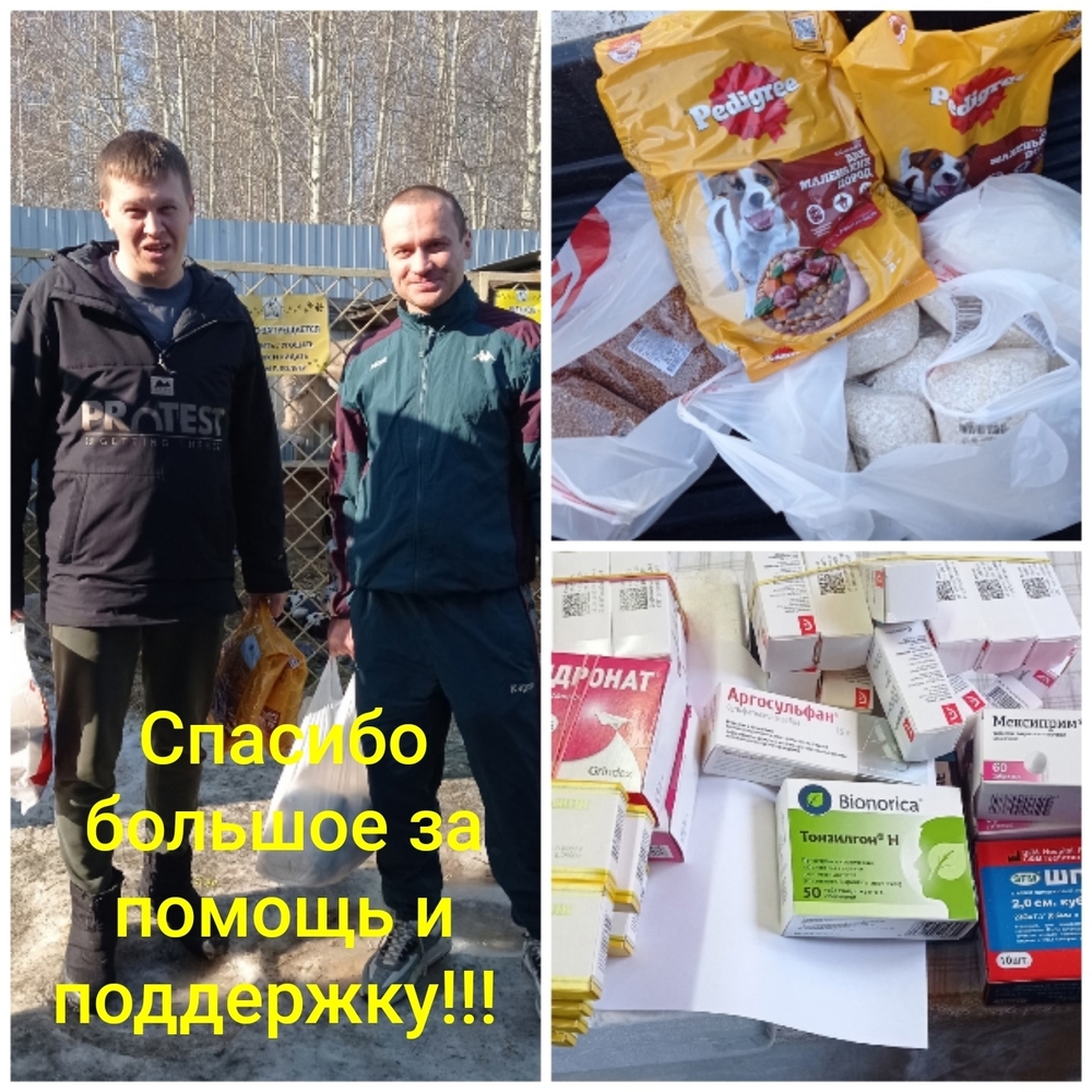 vzIe8FsN--xsz81UrBTGiNdgIx9weV12Prx74sVi