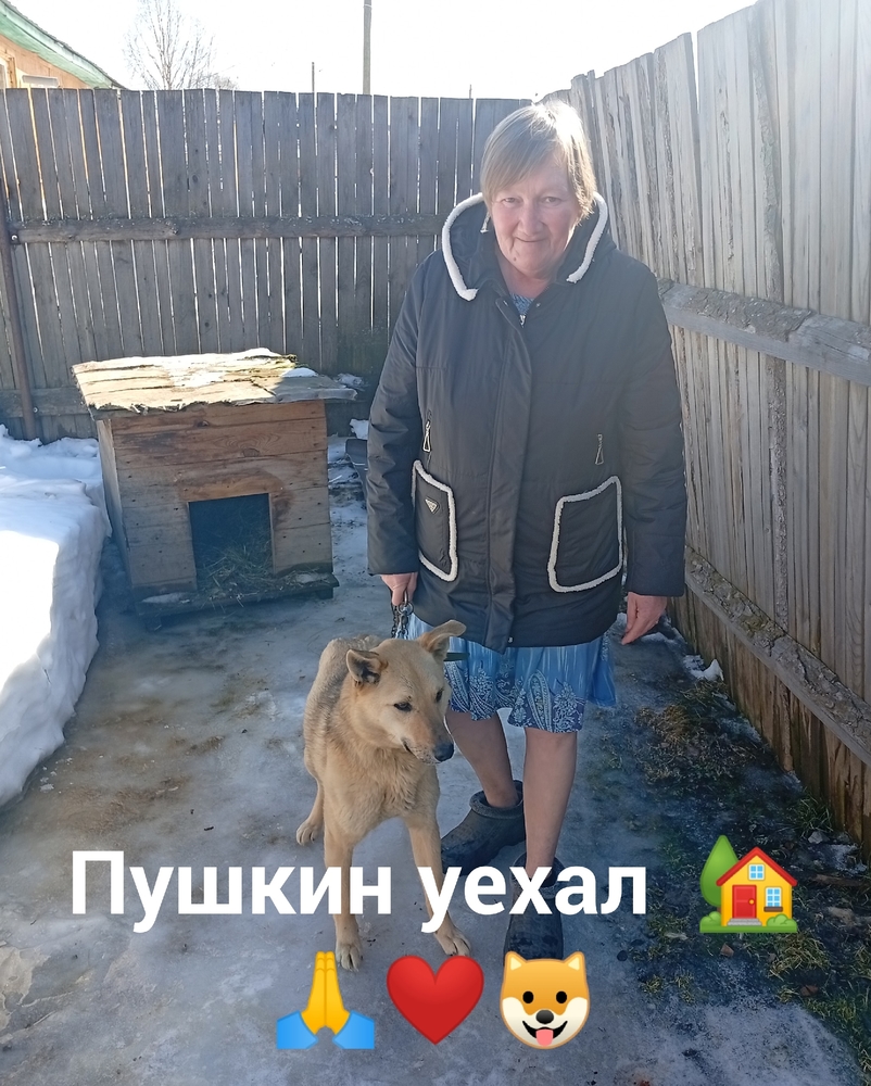 k8BpjjUhYrXY3rSMgaj2w4XcGve046Nk9Sm3kbRz