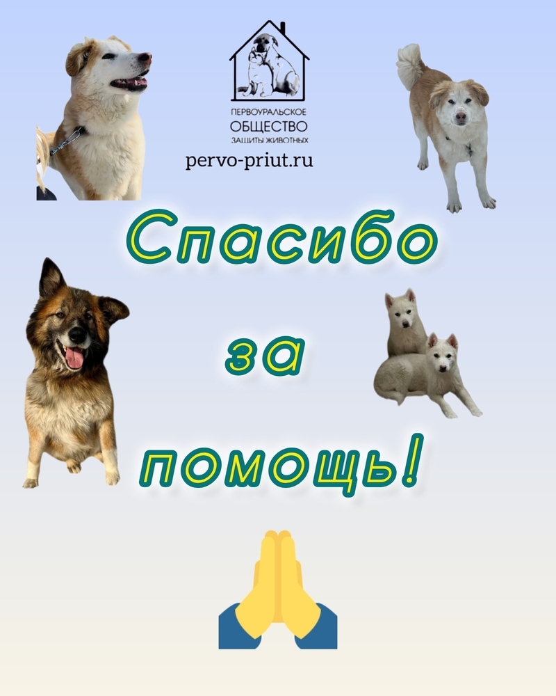 W1VhLkY1DoqisNkdpaL3cI_oW0CbKGsT6NLGxoAo