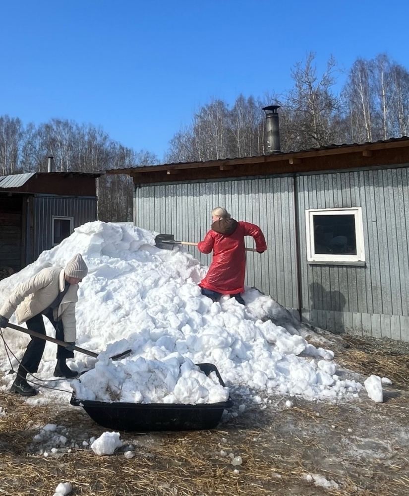 CXLP3ForxvSOzPfDg0jPRVy7kExt59QKK2fbtFGY