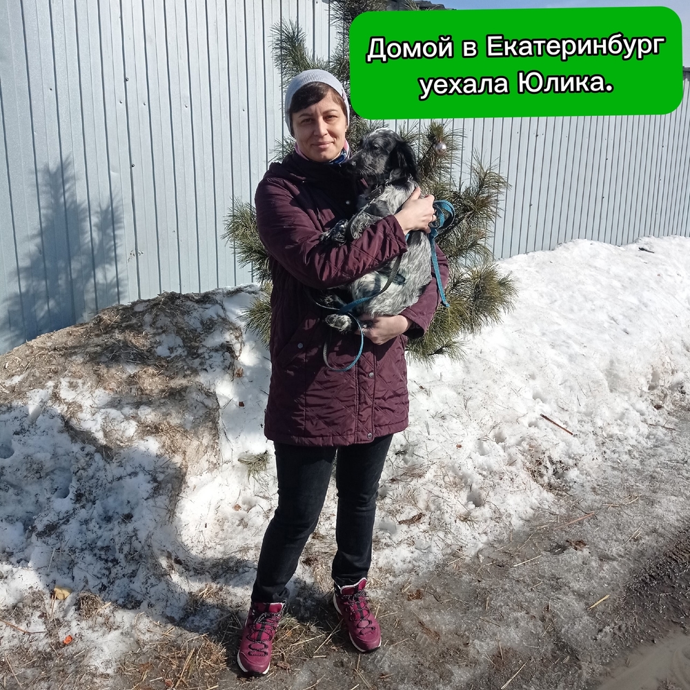 dFFCs3JuSx1iPi_vO82SPtRZwvAajiu2y7JLvFom