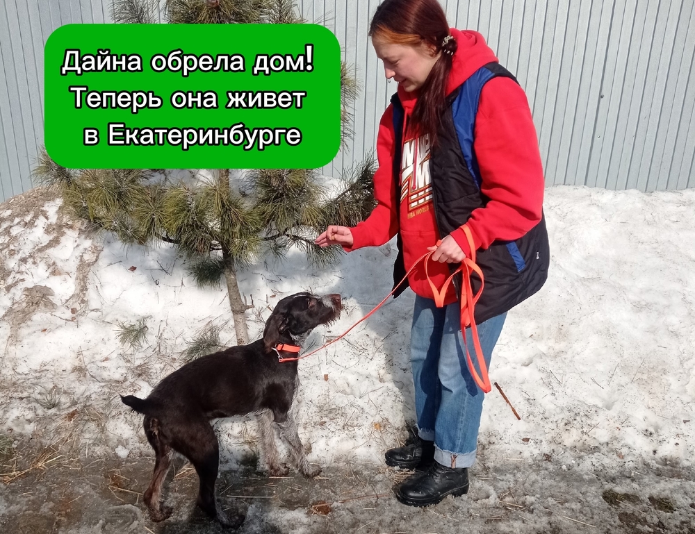 fSLYT4yOv3mEhp9wFXwfH5MnXdTnDU9bXCIrlIgL