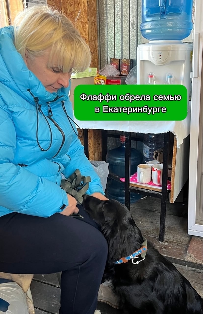 iA-Z4DsQdbms2vMEZbIxPbUN7alC8BdZiWzKXksP