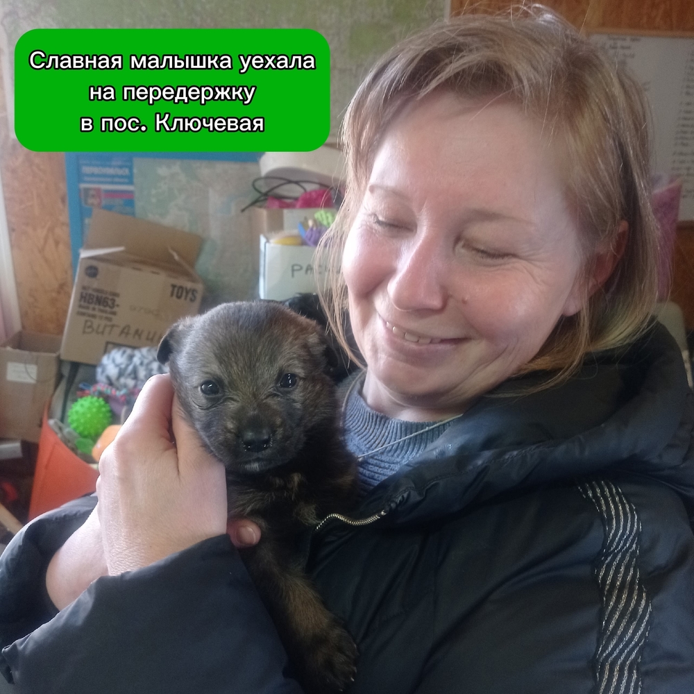 8N-_ys359wHfYDYSZBPtcBDF-cgjJd4I6x-hUpfM