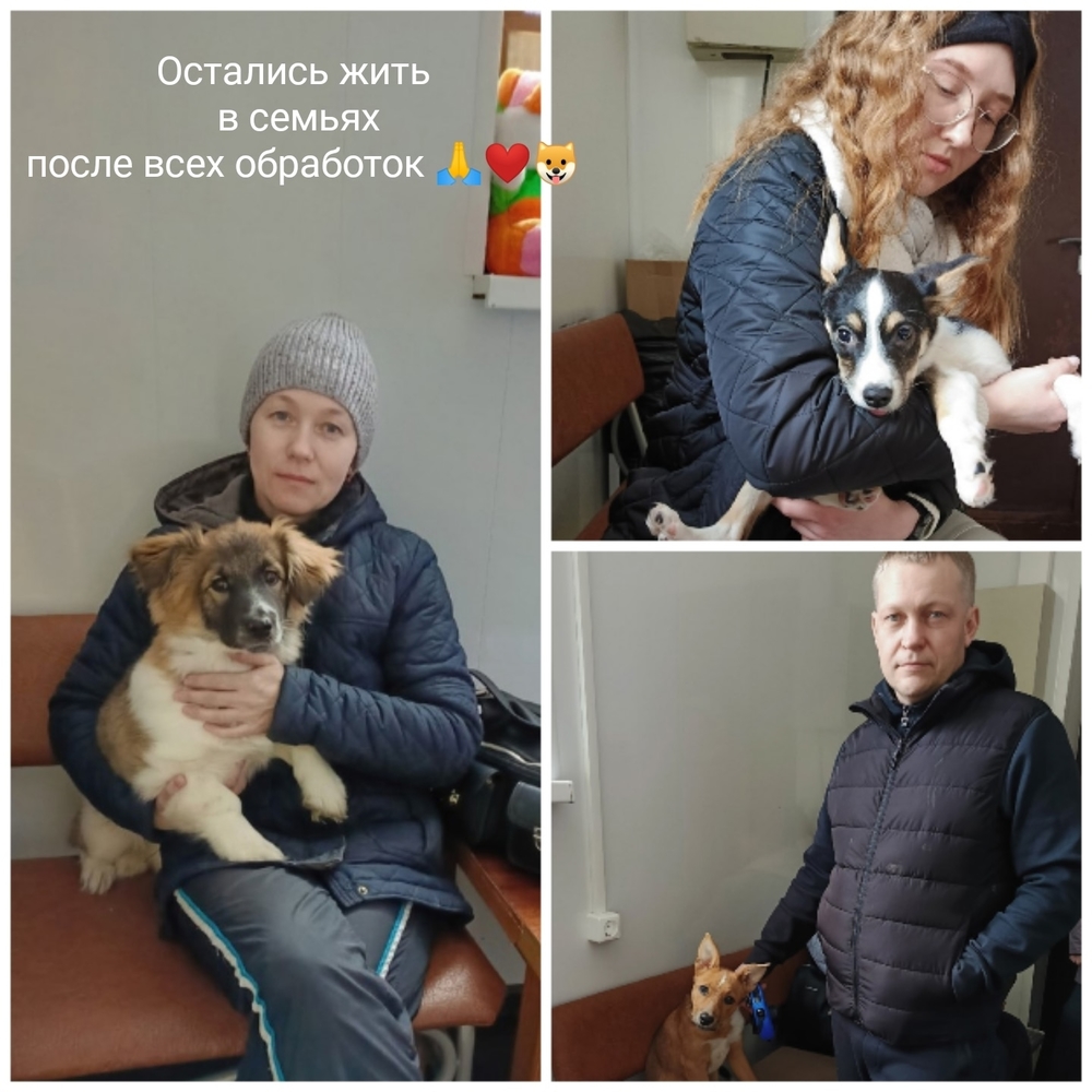 9eDwi-VI_4joKXyIAil-4jlKb2j9e0HiltvR9RUt