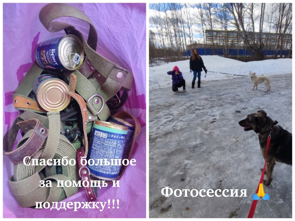 W77NZNk8z620JkqQH0Uuh6hl8eVM8CxT5L08K-d2