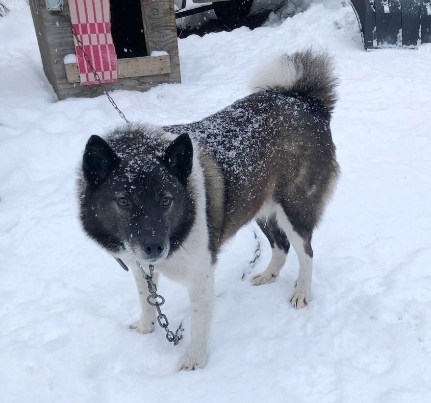 uq1GX6Ioor_qLO8qtCLZxhnTvdacL6-_7xYM4lNC