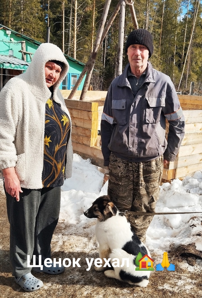 a5gkShquvxc4_KID7sDjdWUWiJ2u1OfV0g44Iu02