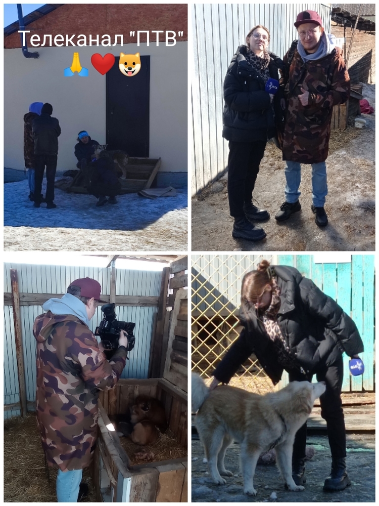 h1J13gNY2jHguCffYgzL7O1AyRtyCkRbelI1zyGi