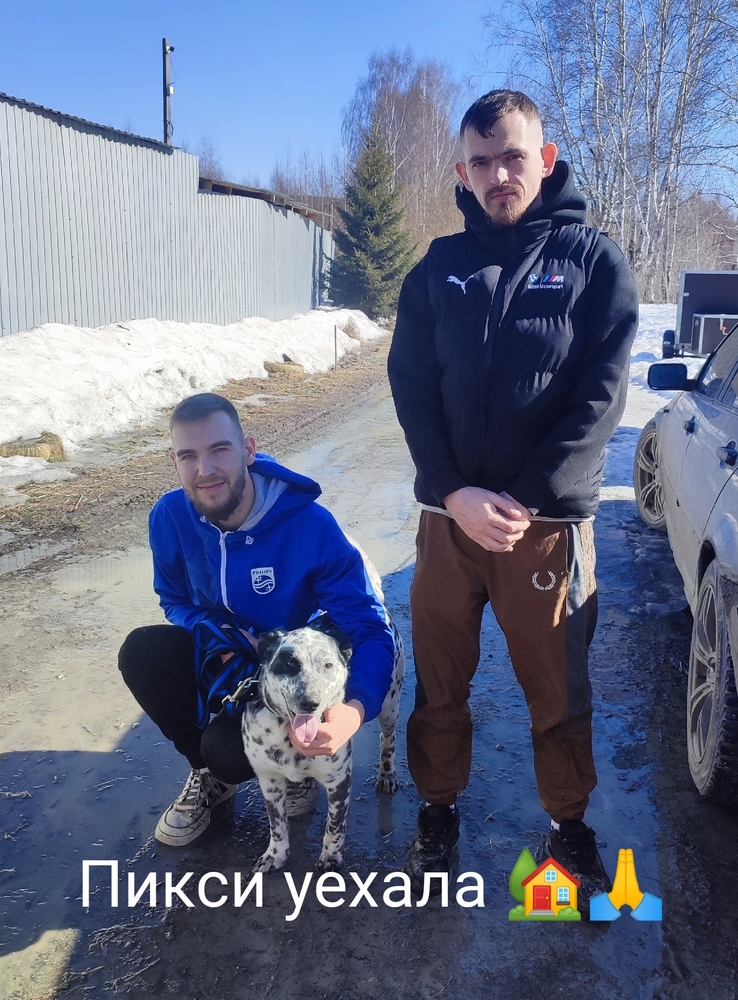 -sA-Bdv_CAV-d49cXR_hxt7mOtA-43oy_govSRFX