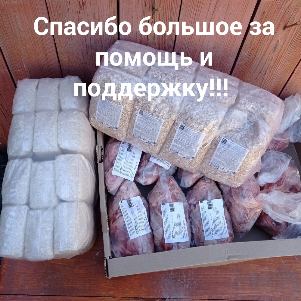 vtgsJFjB-bYhdiwfeBBuBSMautANTYd-cM66SGww