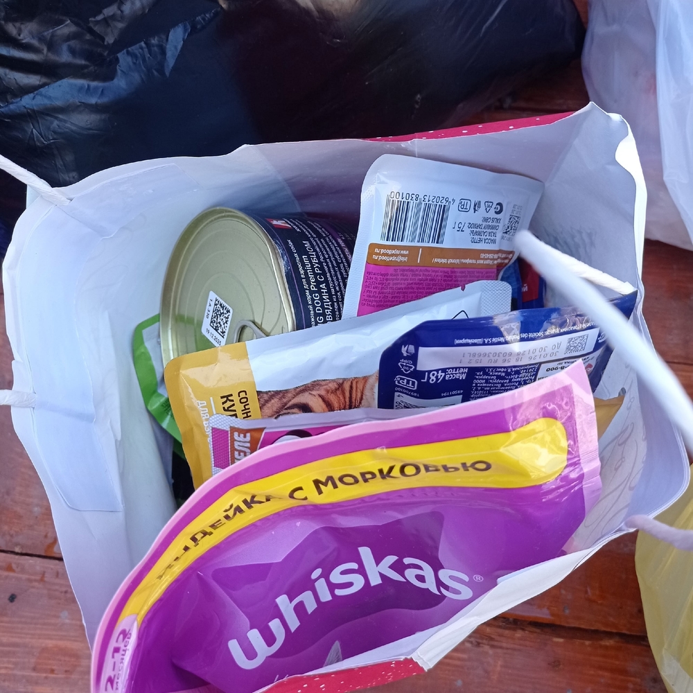 nqD9bhIcx_DrV4_o8w45MRPdELcurOMGClsgYtHE