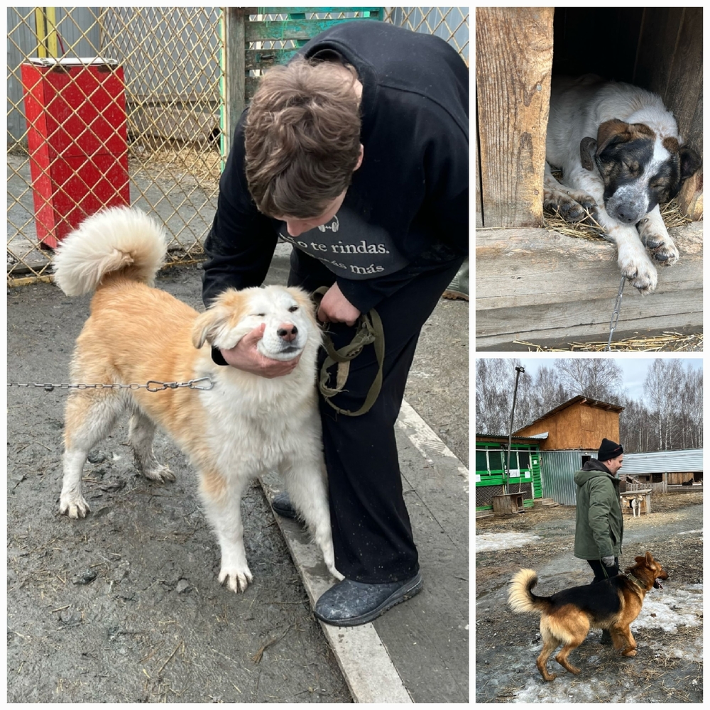 5X_qM6GZWZ0fQZs7CILTdG-UBTGoTPXcQxVC6aRf