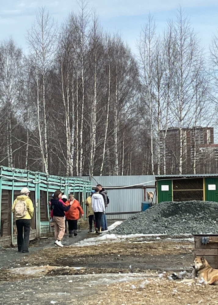 G1VX9XSAkVytVA6OK0Ir8-_lv1HIx4N-91qxMLIi