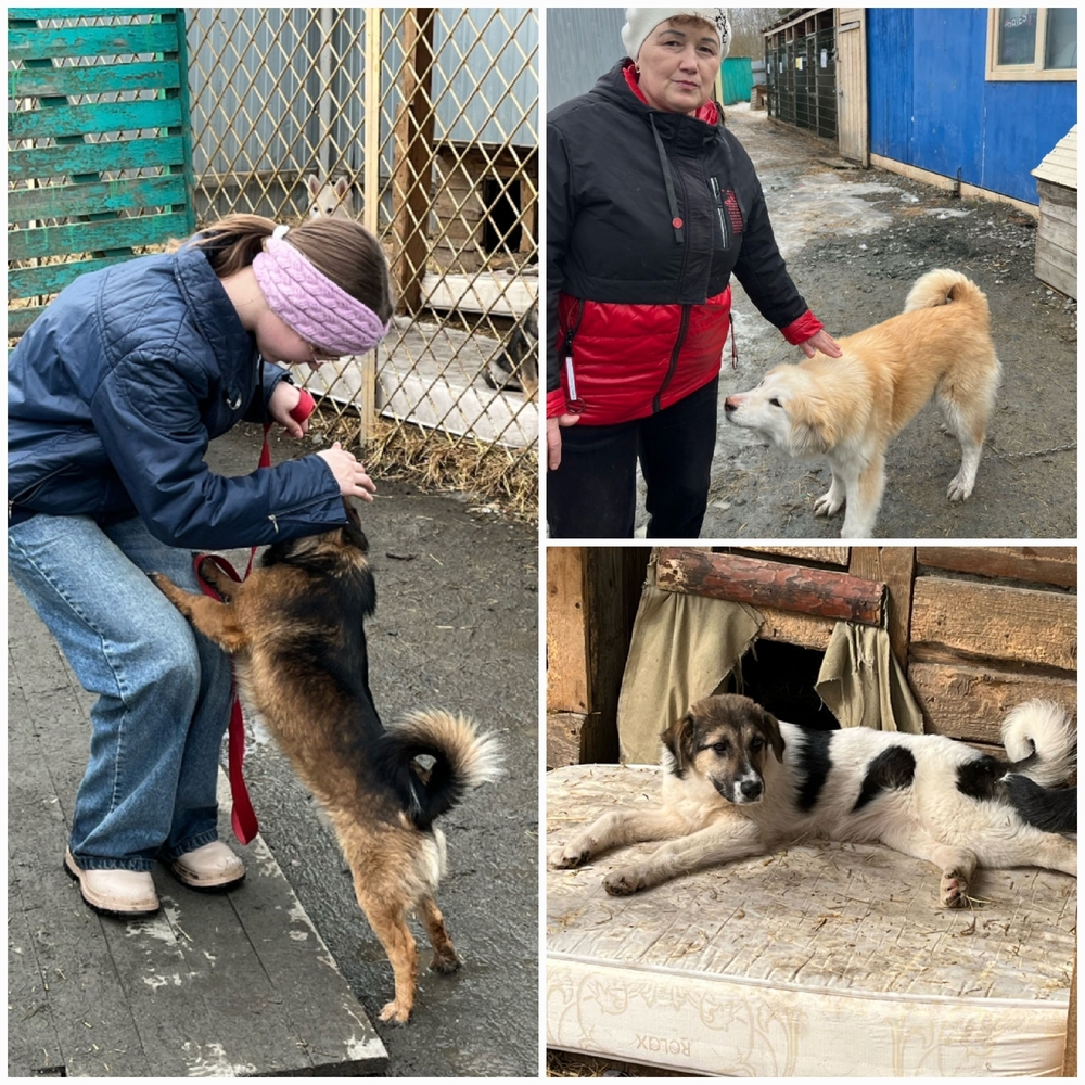 NrqapCGzMF0o9cnKynnHUKuCQCNKkMZgM-JDx-v3