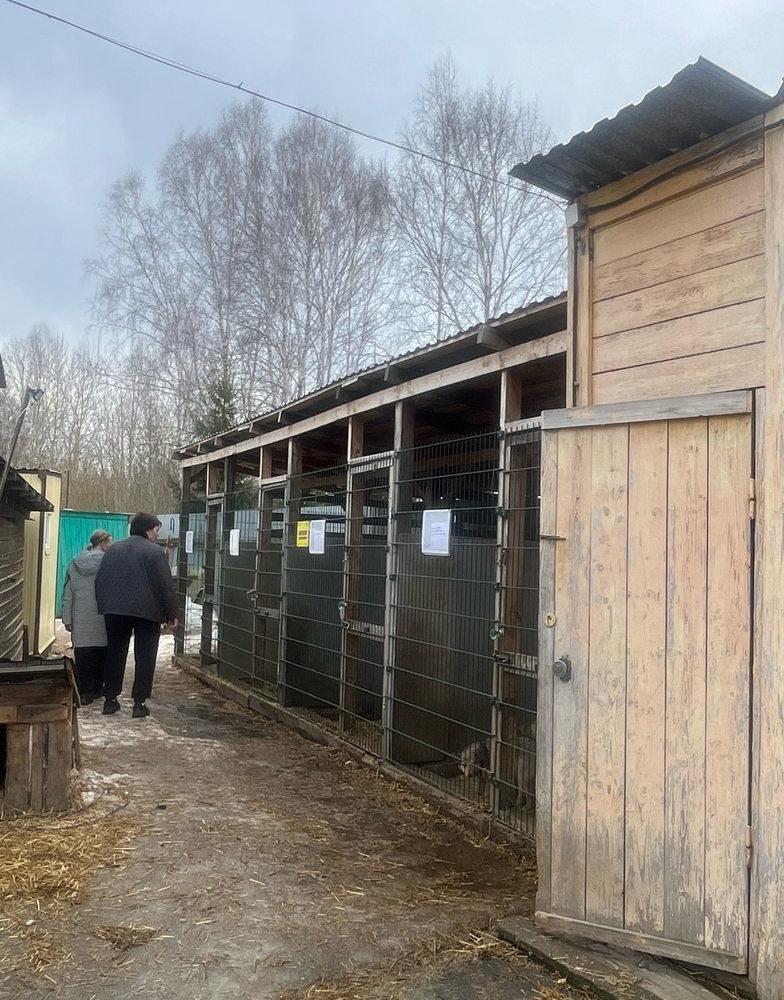 sO25MOk0GDlJaau9DhZNNk9S_kXbsVcfDEfACNUi