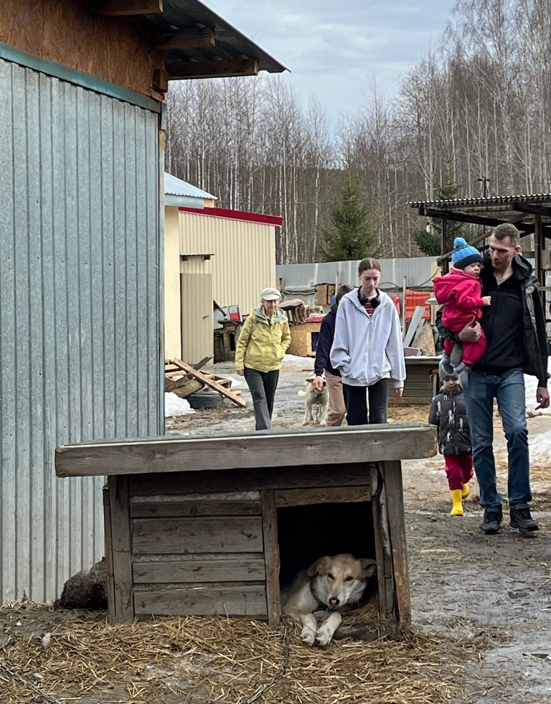 UgkBgsNShdoKgR3Y-GJvSf8bS89BHgWT28OI-hiN