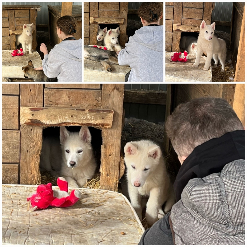 XFz-h6iBSWz9xs6ZatoVbk3Fi_UiZDxn69sqFNYb