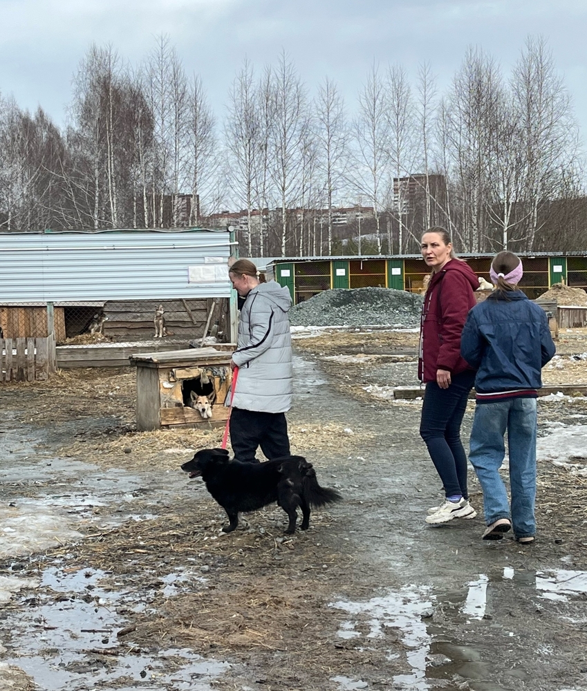 zMEfAAtZrOXUaY1WJ8FtxgqV8etdTV242uHGv24A