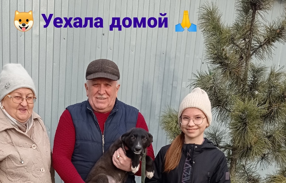 mAlHeuXUBtGpPl7_dbf-ZsbsTuiSwrm4knCc-gSR