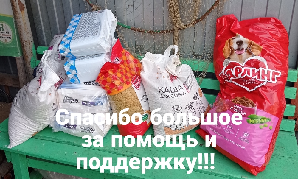 KubAEoBwgpOO1vPpDTa_55R6j8s6FdY3hvR5_doS