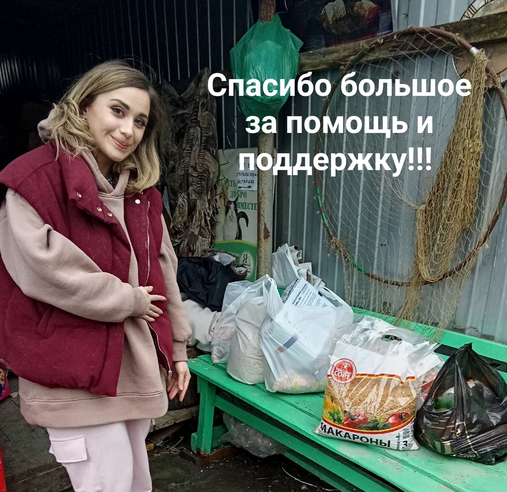 NnMRFhk3vYmy0qZocf26fnbs30gjiQQ2xYQuiigI