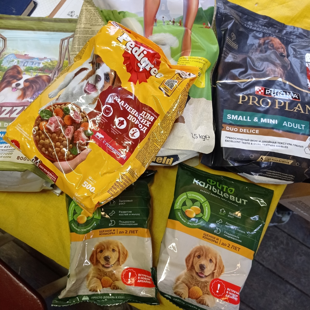 Wh3uJMcnphCrHhgjJy8wtqAxgxt7VYoEuwC0HAU4