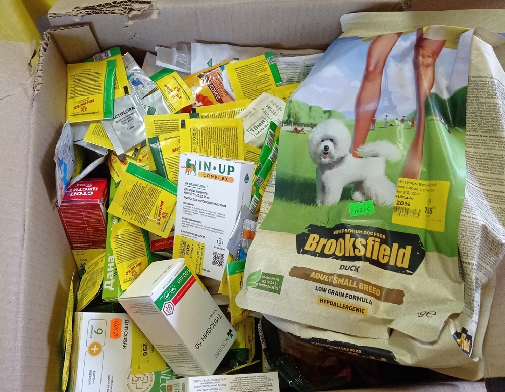 X7rlntOdV_E1dtslLxajJK7t86GUdjfH-5CCTMbE