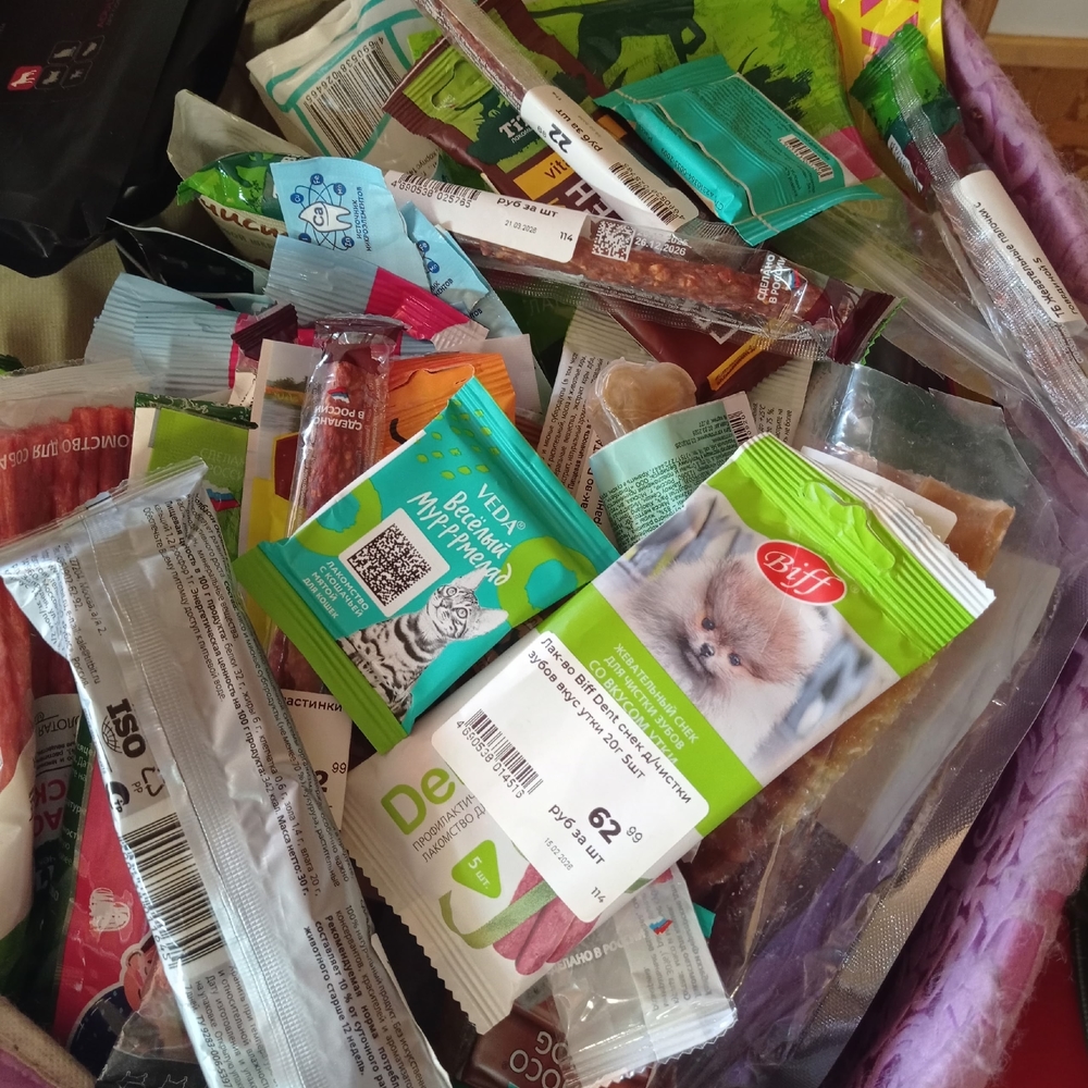 xVnrDBPy5bmbBwtYbRXgALZbgiowhZr-E0X83XRt