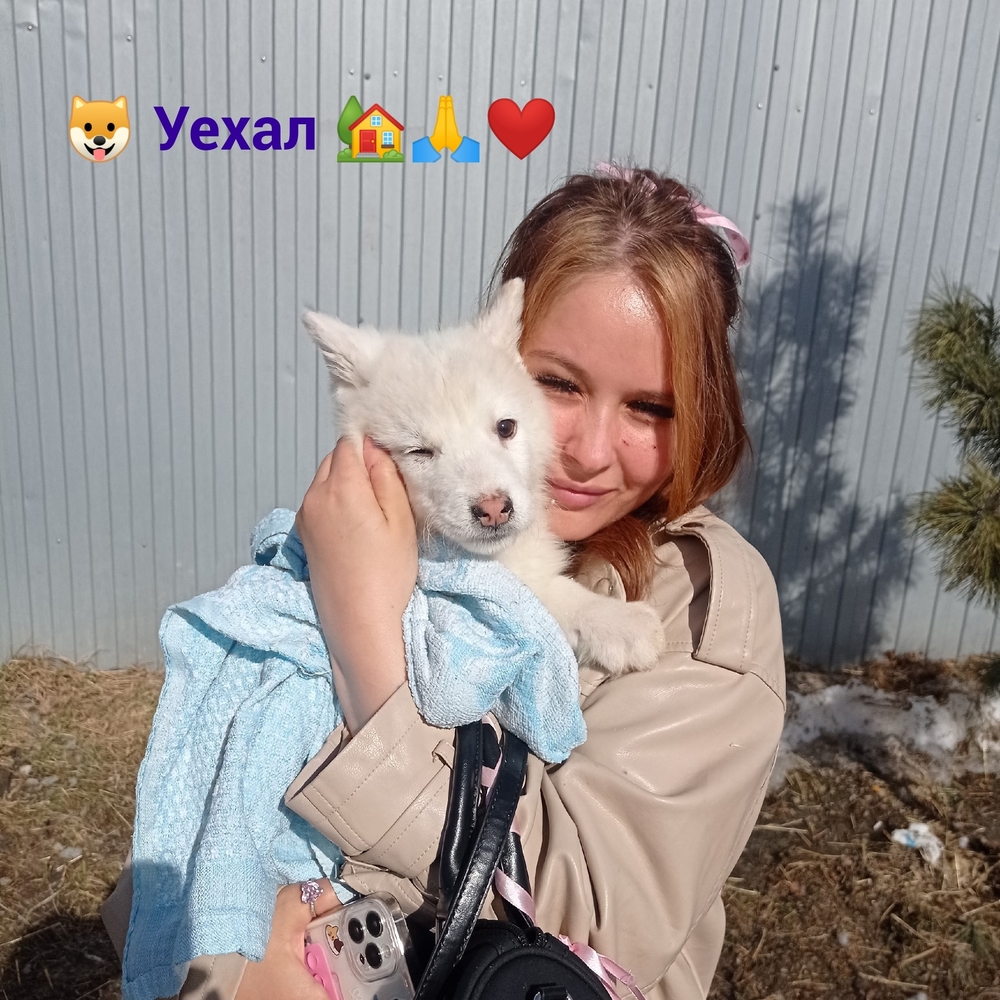 mrR3XMQVOslr7yUGQf1VKLjF5jMdgtEgmDjdtGCZ