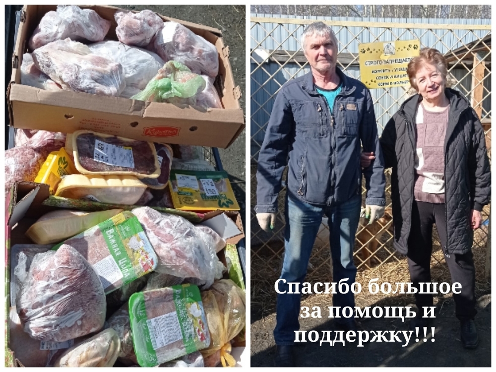 Ugn6kLDgdeuBUe7sIkW7XewXVg3MswYBFolFVR7_