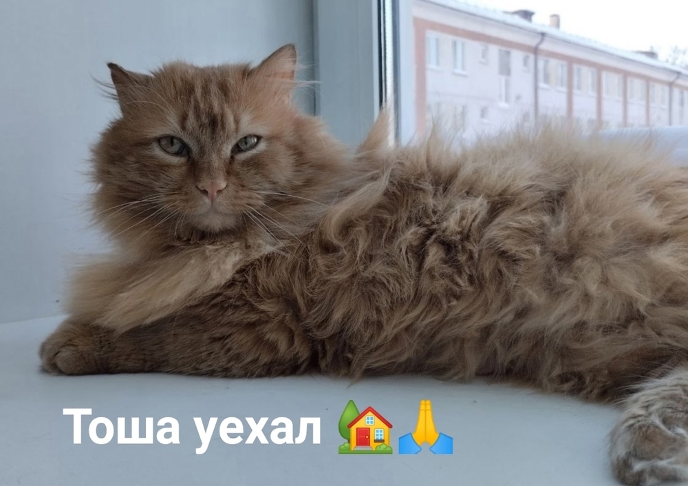 Yk32XLedJ7AISjk5qXsb4BlqDGioqiFtuwaAKPnO